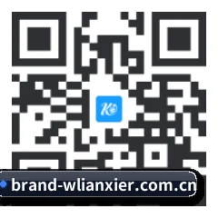 iOS 苹果生态原生版 二维码
